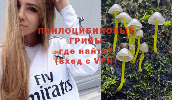 mdpv Алексин