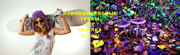apvp Абдулино