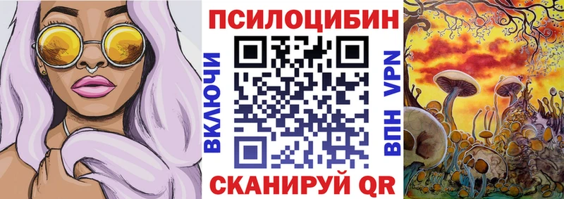 Псилоцибиновые грибы MAGIC MUSHROOMS блэк спрут ссылки Чухлома наркошоп